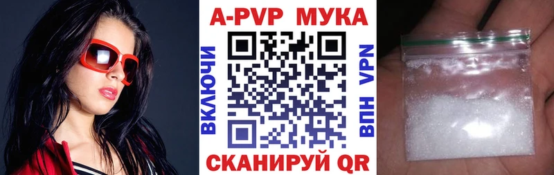 купить сайты Бикин Alpha PVP СК КРИС