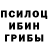 Галлюциногенные грибы мухоморы Tav N