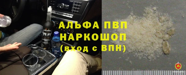 apvp Алзамай