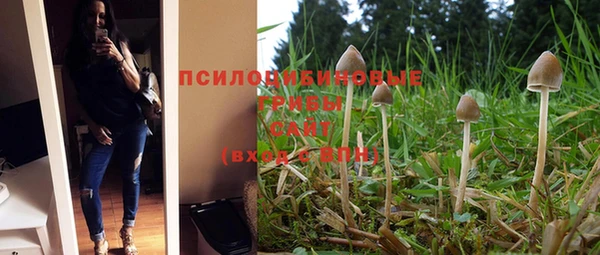 МДПВ Алексеевка