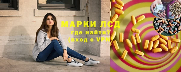 apvp Алзамай