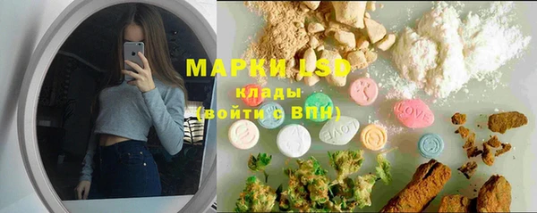 apvp Алзамай