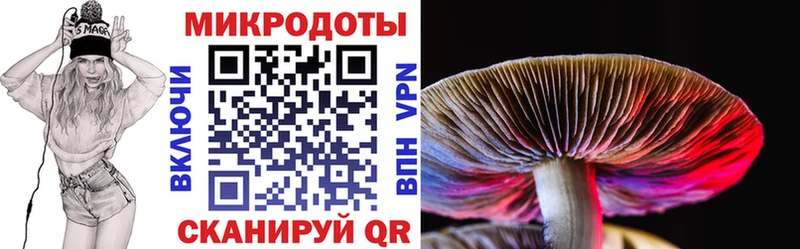 это состав  даркнет сайт  Бикин  Псилоцибиновые грибы ЛСД 